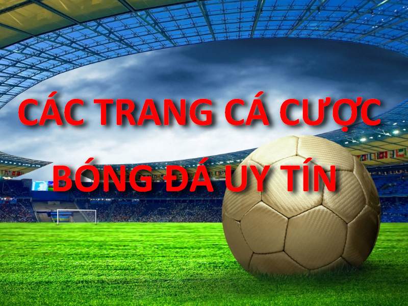 các trang cá cược euro bóng đá uy tín 