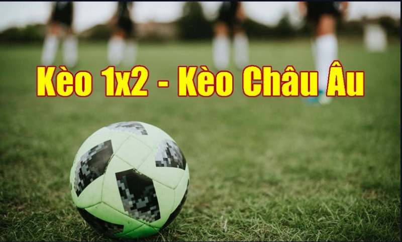 Để đọc kèo 1x2 chính xác bạn cần tham khảo thêm ý kiến của các chuyên gia