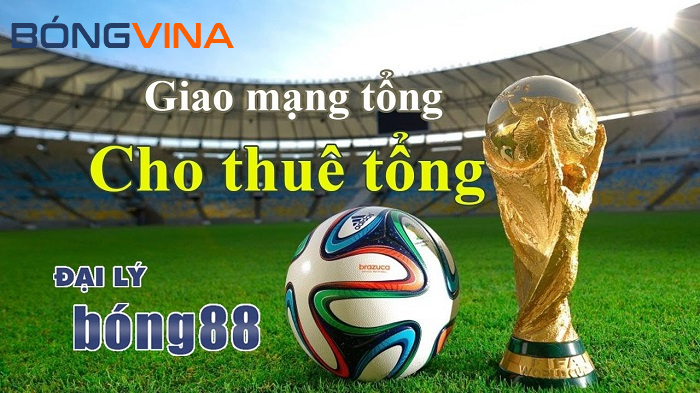 thuê mạng tổng bong88